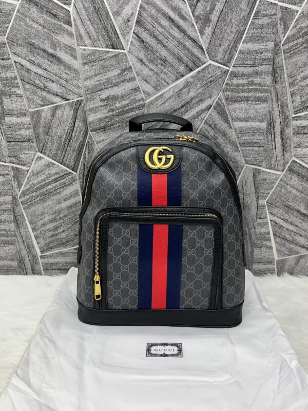 Gucci_Ophidia_Backpack_With_DustCover For Women's Bag